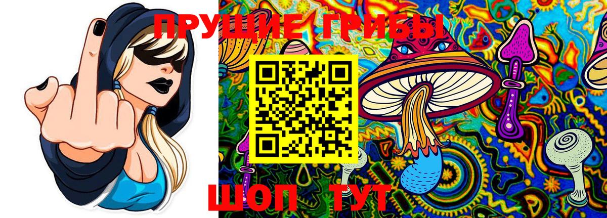 Галлюциногенные грибы Magic Shrooms Пенза