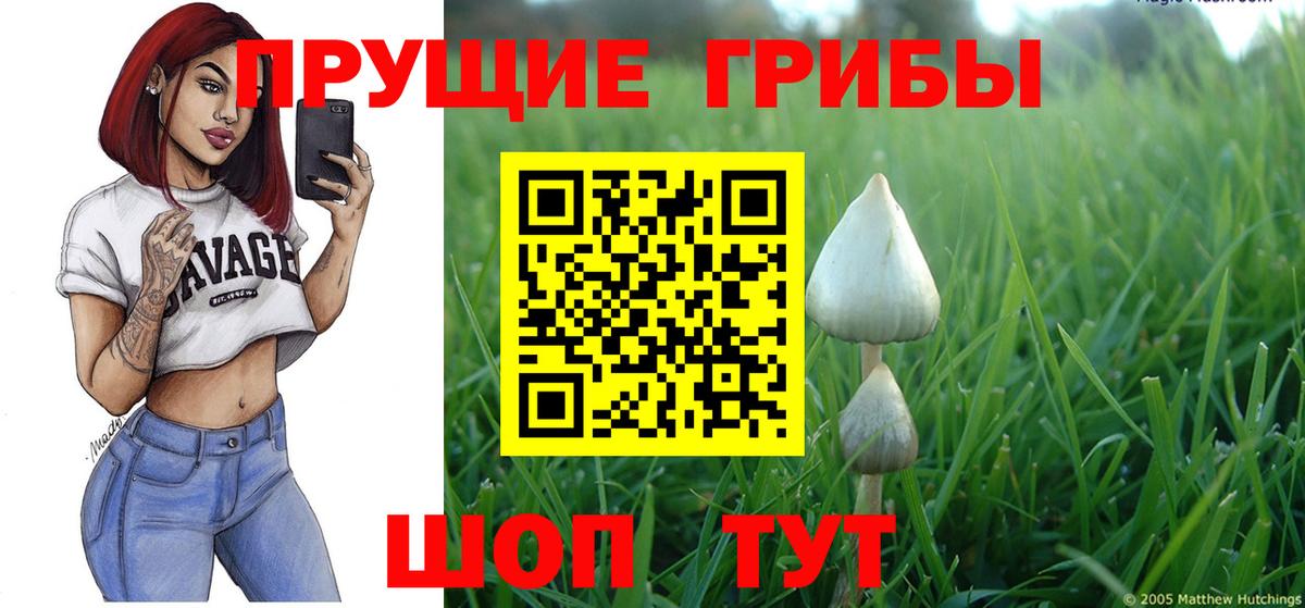 Псилоцибиновые грибы Psilocybe  Вход с VPN  Псилоцибиновые грибы Psilocybine cubensis  Пенза 